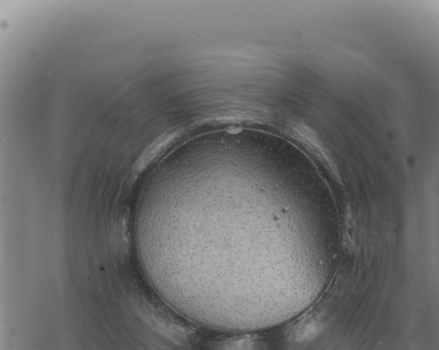 X0000068830116200605121351