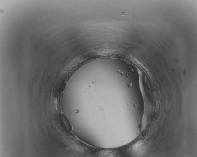 X0000068830117200605121351