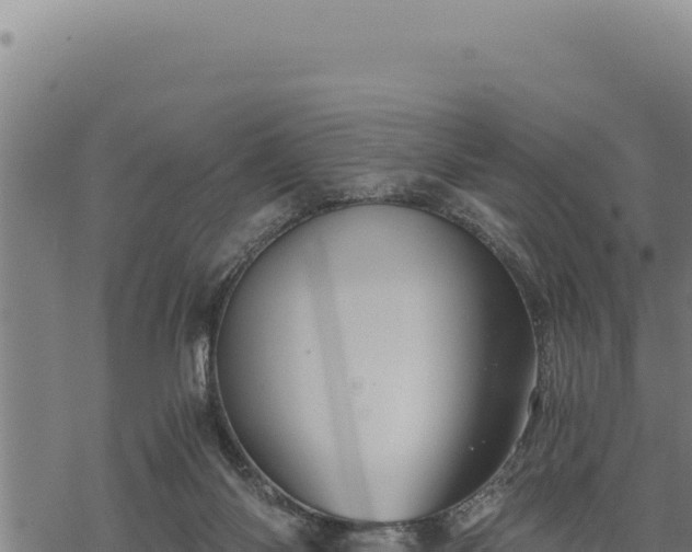 X0000068830118200605121351