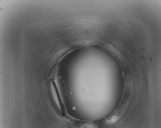 X0000068830119200605121351