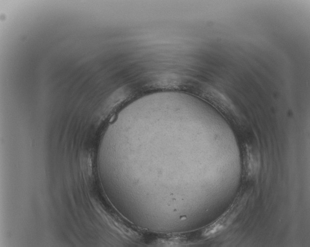 X0000068830120200605121351