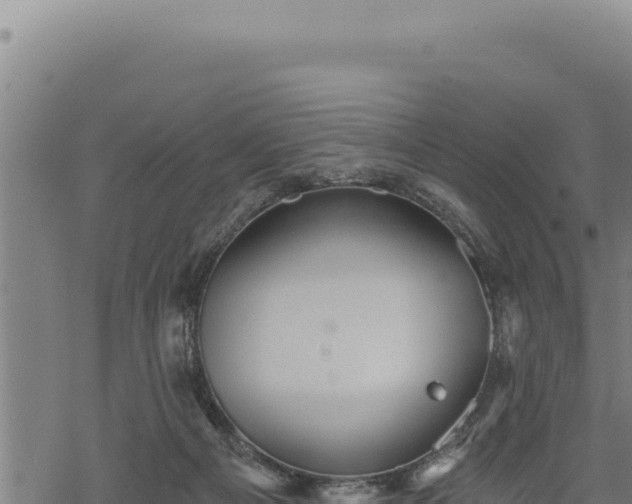 X0000068830121200605121351