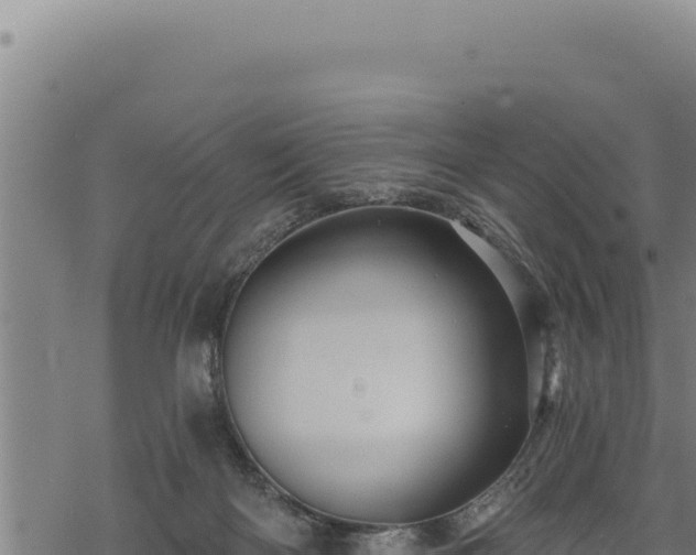 X0000068830122200605121351