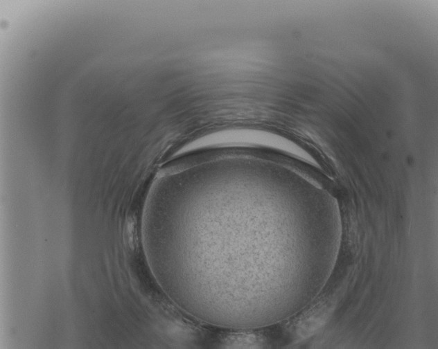 X0000068830123200605121351