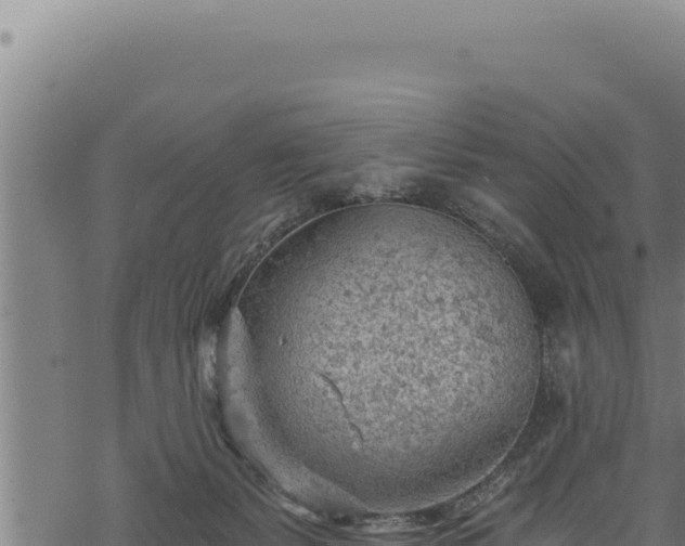 X0000068830127200605121351