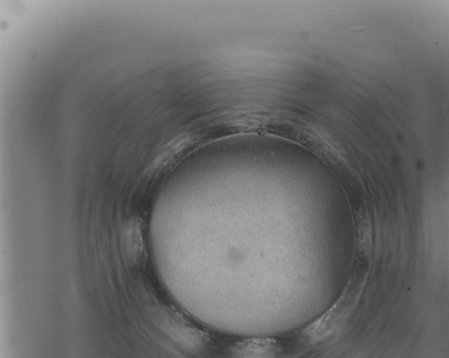 X0000068830128200605121351