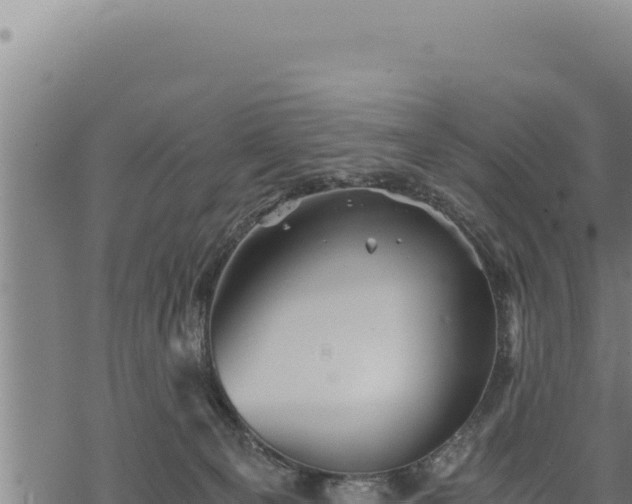 X0000068830129200605121351