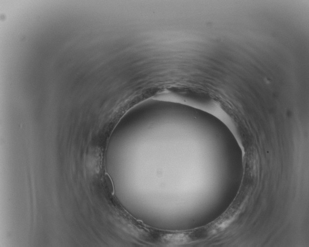 X0000068830133200605121351