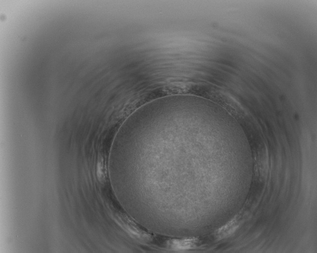 X0000068830134200605121351