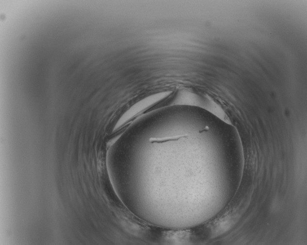 X0000068830135200605121351