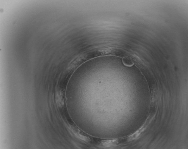 X0000068830136200605121351