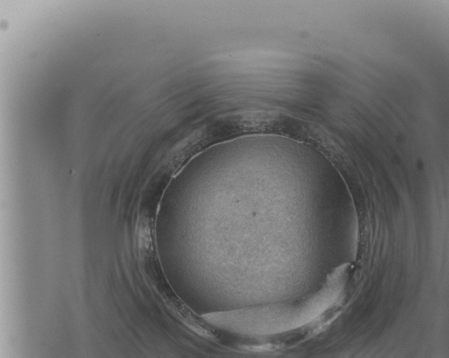 X0000068830137200605121351