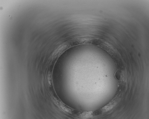 X0000068830138200605121350