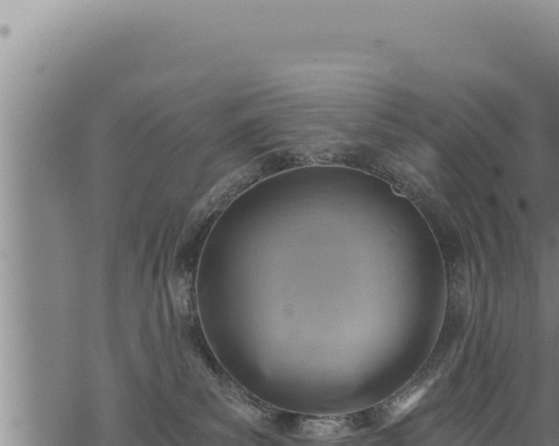 X0000068830139200605121350