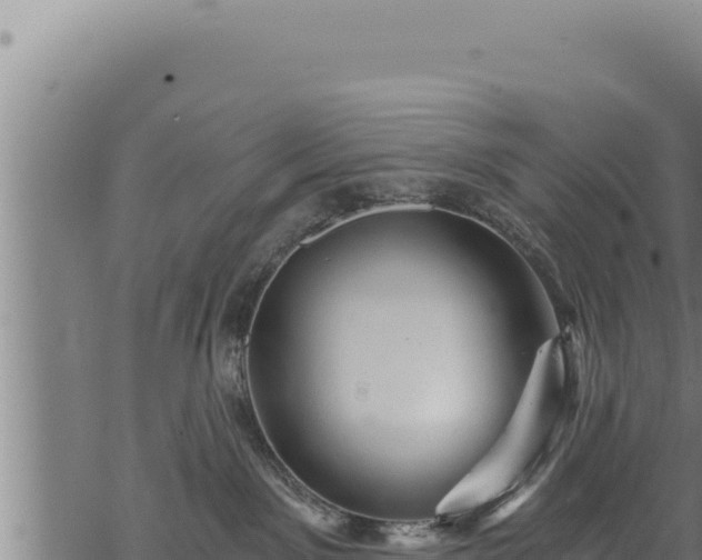 X0000068830141200605121350