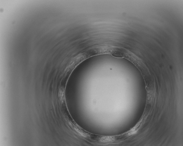 X0000068830142200605121350