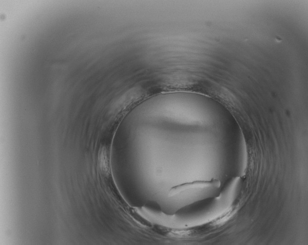 X0000068830143200605121350