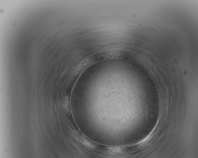 X0000068830144200605121350