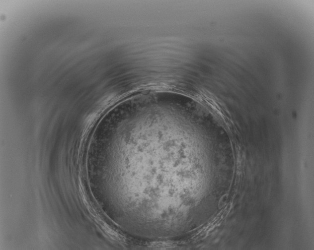 X0000068830145200605121350