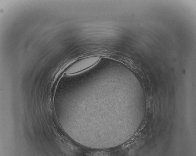 X0000068830146200605121350