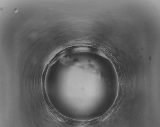 X0000068830148200605121350