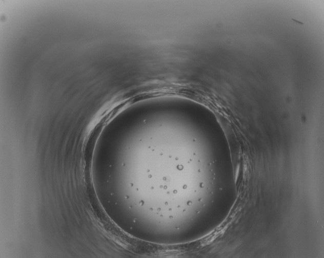 X0000068830150200605121350