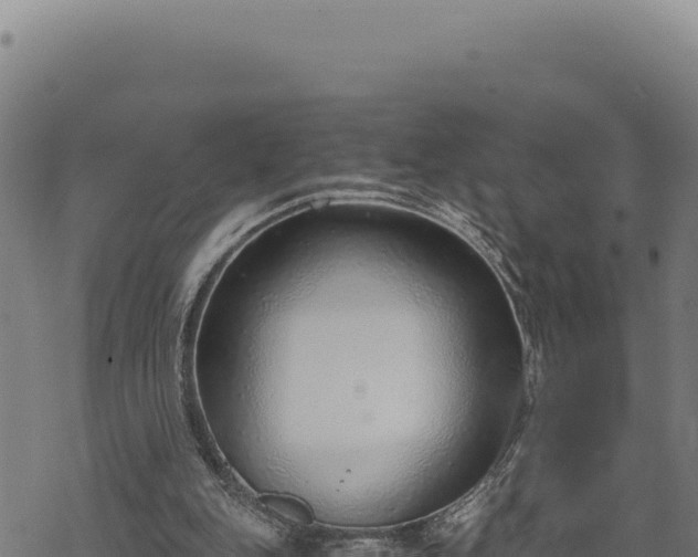 X0000068830151200605121350