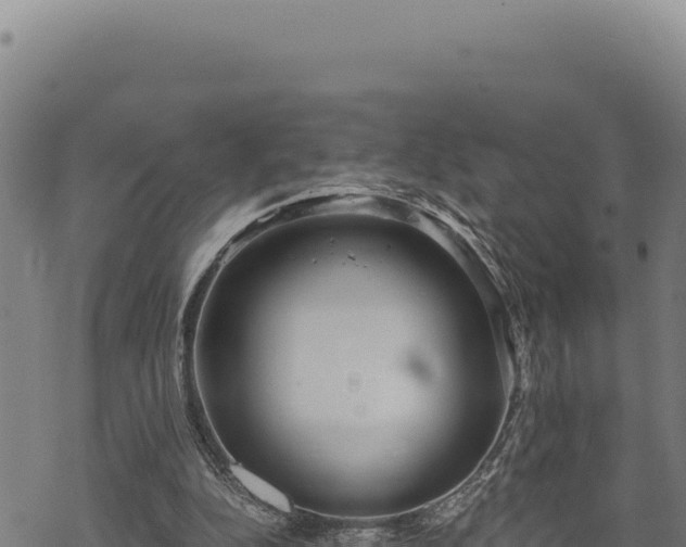 X0000068830152200605121350