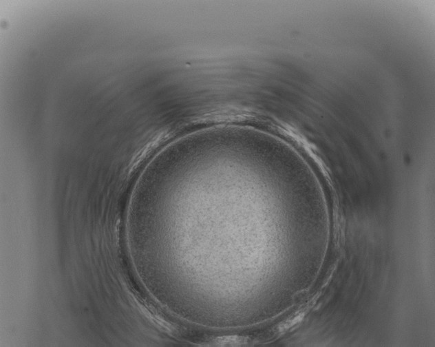 X0000068830153200605121350