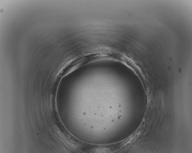 X0000068830154200605121350