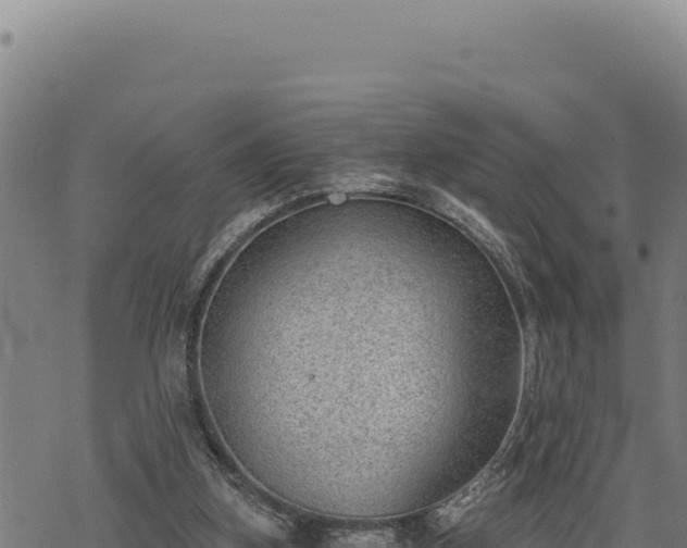 X0000068830155200605121350