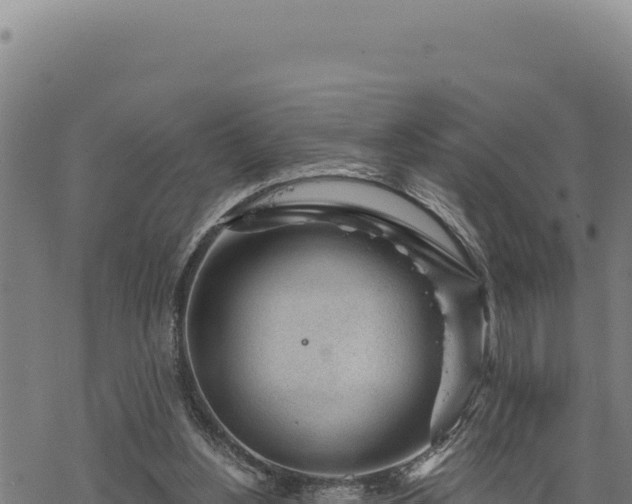 X0000068830156200605121350