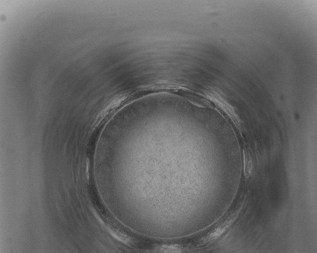 X0000068830157200605121350