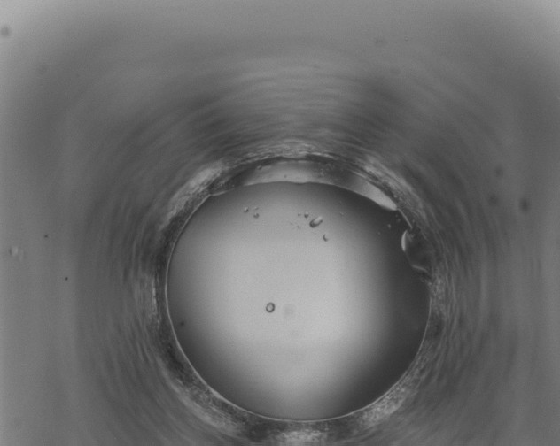 X0000068830158200605121350