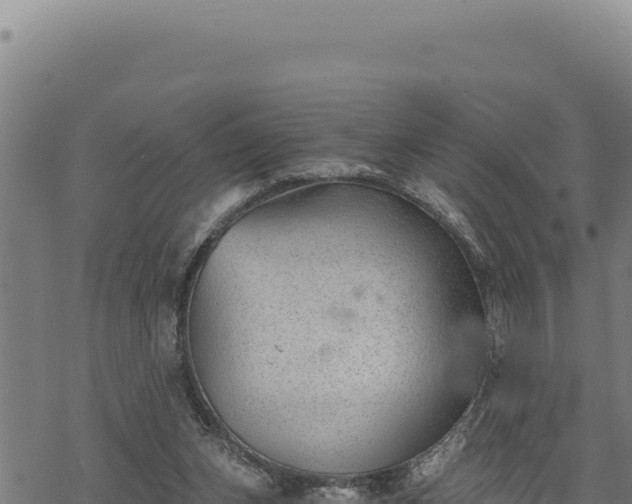 X0000068830159200605121350