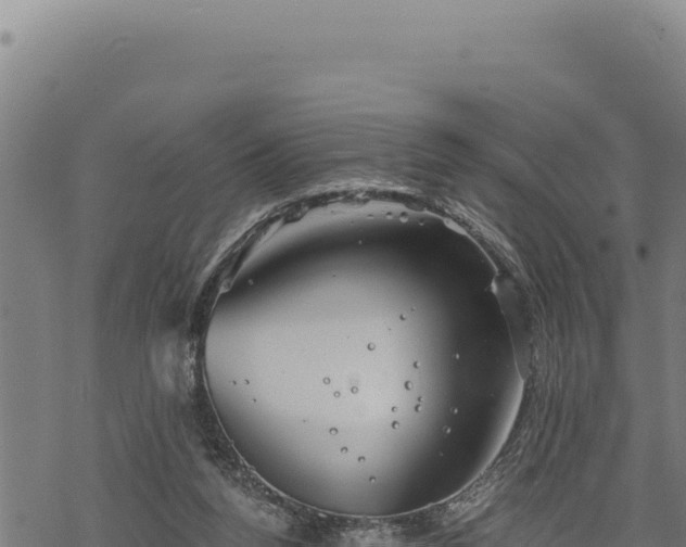 X0000068830160200605121350