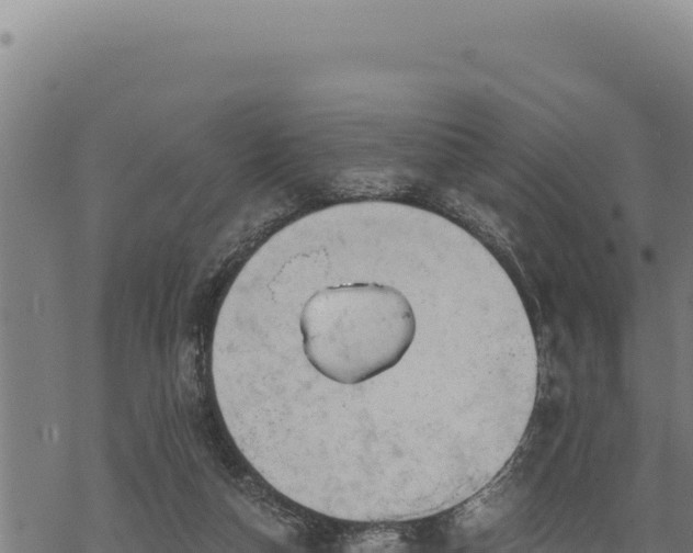 X0000068830162200605121350