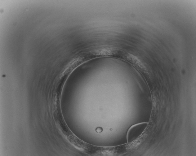 X0000068830163200605121350