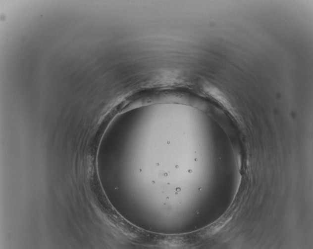 X0000068830164200605121350