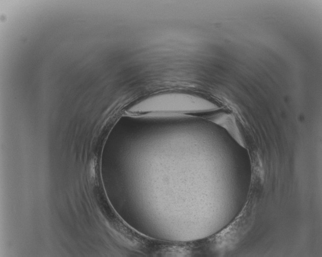 X0000068830166200605121350