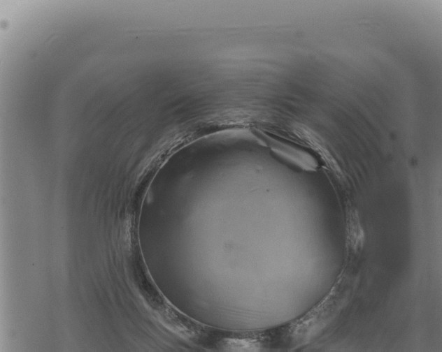 X0000068830167200605121350