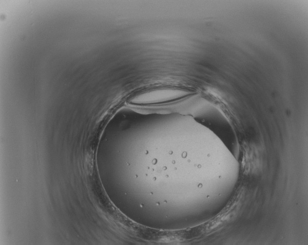 X0000068830168200605121350