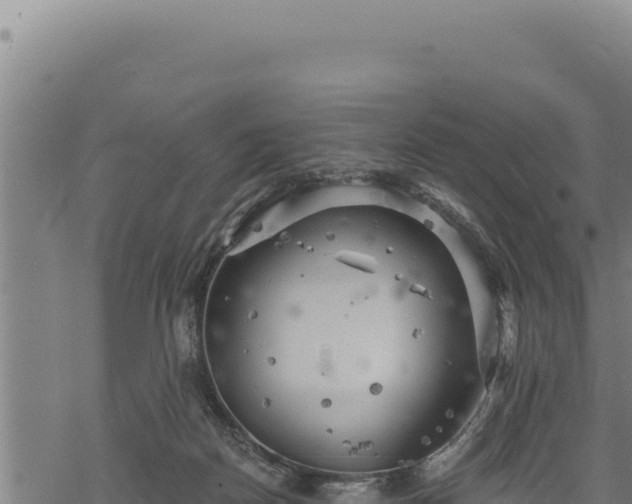 X0000068830170200605121350