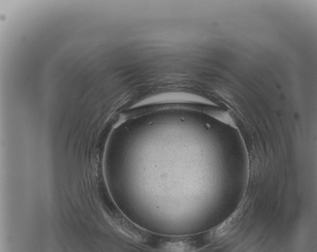 X0000068830171200605121350