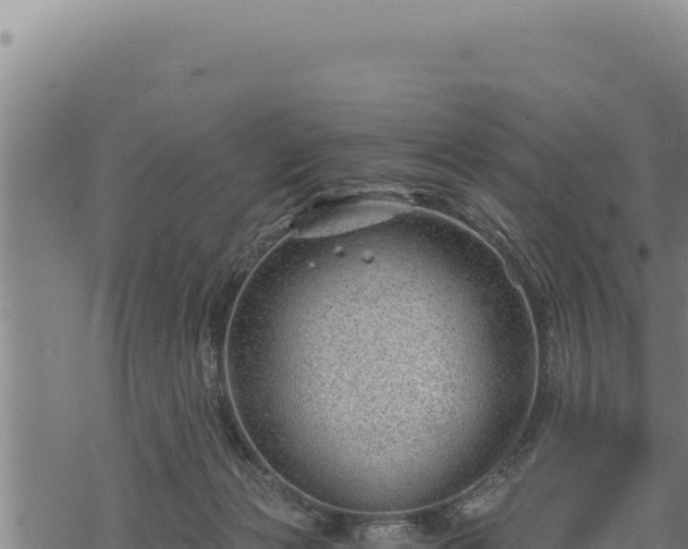 X0000068830173200605121350