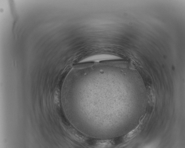 X0000068830175200605121350