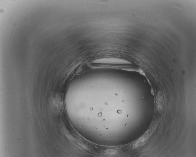 X0000068830176200605121350