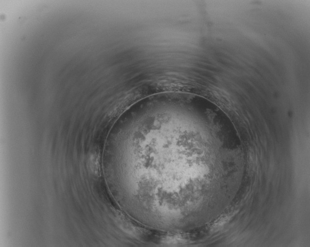 X0000068830177200605121350