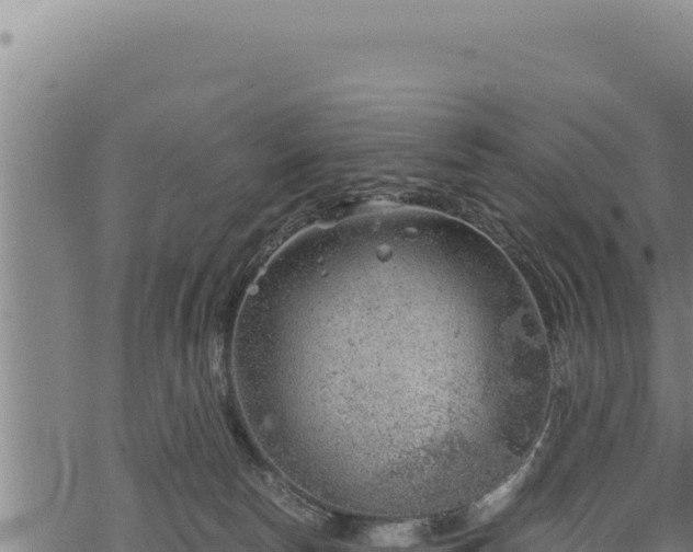 X0000068830178200605121350