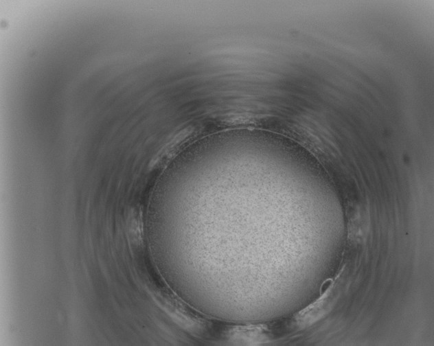 X0000068830179200605121350